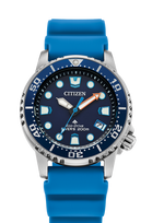 Citizen-Eco-Drive-Promaster Professional Diver-EO2028-06L