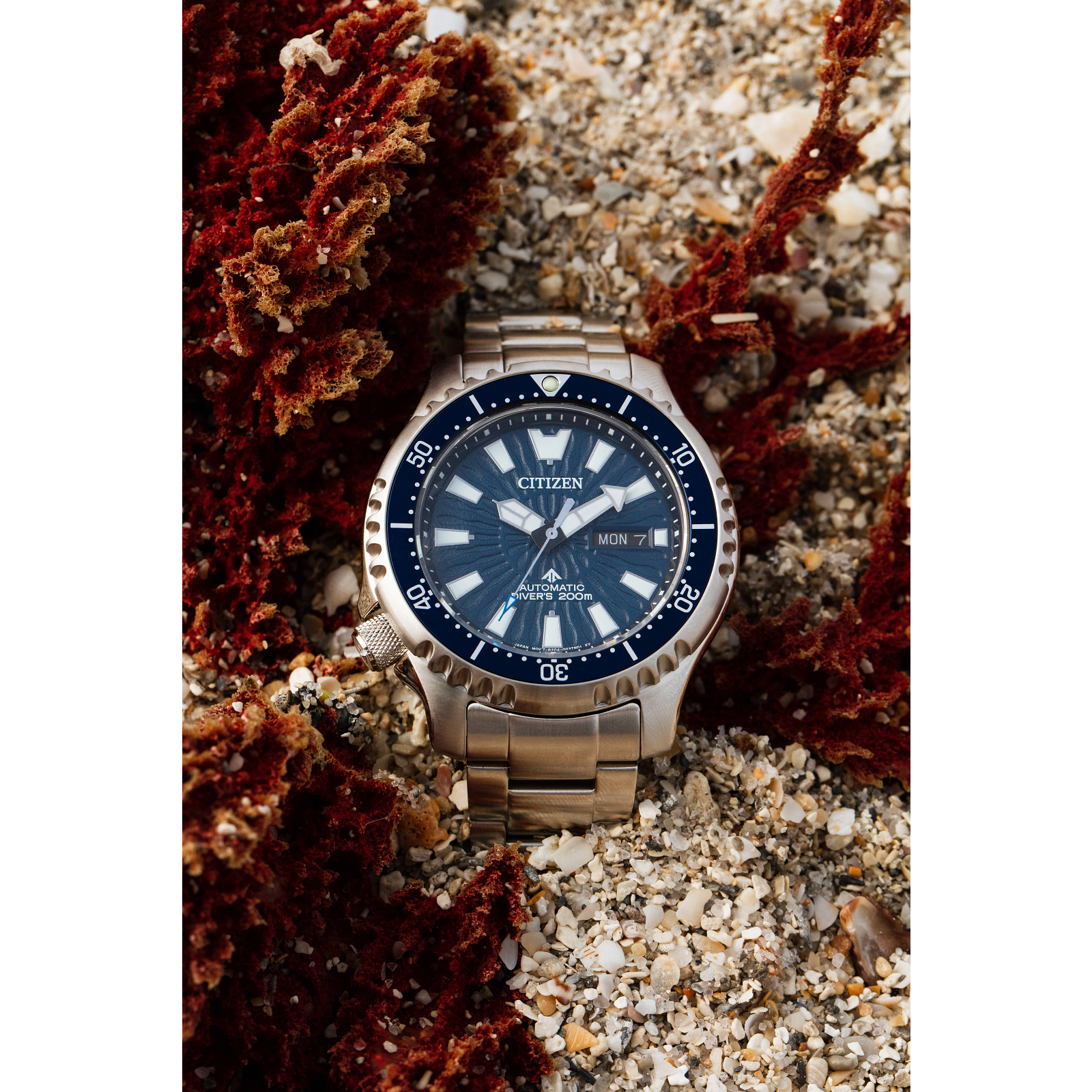 Citizen-eco-drive Promaster Dive Automatic - NY0136-52L